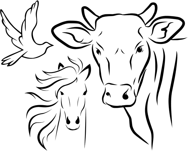 Feed Calculator Logo