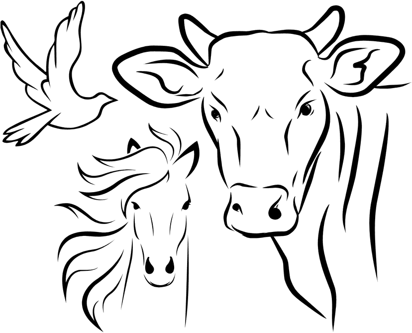أعلاف